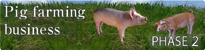 PHASE2 Pig farming business