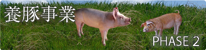 酵母発酵飼料 PHASE2 養豚事業